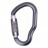 Карабин First Ascent Dizzy Autolock FA7101 grey
