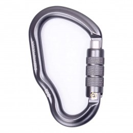 Карабін First Ascent Dizzy Autolock FA7101 grey Карабін First Ascent Dizzy Autolock FA7101 grey