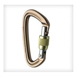 Карабін Black Diamond Positron Screwgate
