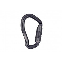 Карабин First Ascent Argon FA7006 grey