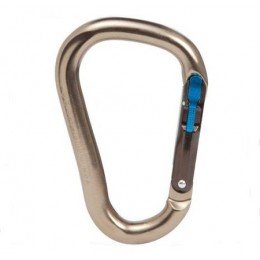Карабін Black Diamond Magnetron Rocklock (210287)