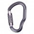 Карабін First Ascent Dizzy Autolock FA7101 grey Карабін First Ascent Dizzy Autolock FA7101 grey