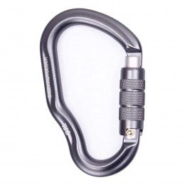 Карабин First Ascent Dizzy Autolock FA7101 grey Карабин First Ascent Dizzy Autolock FA7101 grey