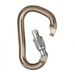 Карабін Black Diamond RockLock Screwgate (BD210251)