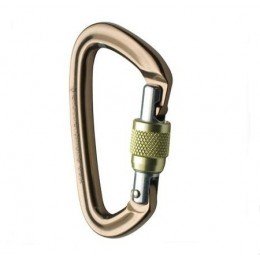 Карабін Black Diamond Positron Screwgate (BD210271)