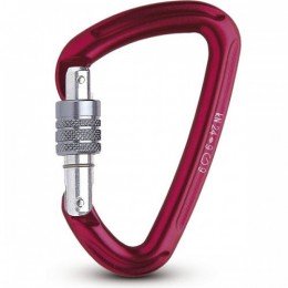 Карабін Salewa HOT G2 Screw