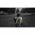 Слеклайн Gibbon Flow Line 20 м Slackline Set