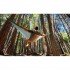 Гамак Sea To Summit Hammock Set Ultralight Single Grey