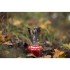 Пальник газовий Primus Firestick Stove Пальник газовий Primus Firestick Stove