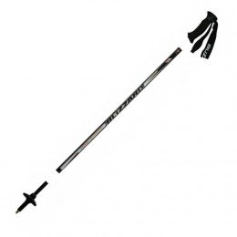 Гірськолижні палиці Blizzard Carbon Performance