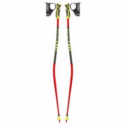 Палки лыжные спортивные Leki WC Lite GS TR-S