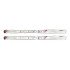 Лыжи Elan Delight Style LS ELW 9.0 152 см