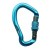Карабин First Ascent Proton FA7009 Light Blue