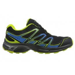 Кросівки чоловічі Salomon Wings Flyte 2 Gtx