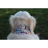 Бафф Dog Buff Woof Multi S/M