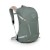 Рюкзак Osprey Hikelite 26 pine leaf green