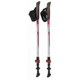 Треккинговые палки Tramp Compact TRR-004 