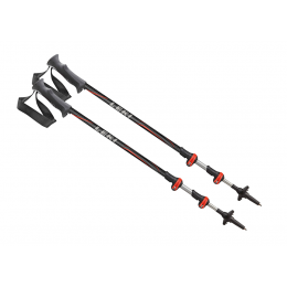 Палки треккинговые Leki Journey SpeedLock