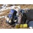 Килимок Therm-A-Rest Z Lite SOL Regular