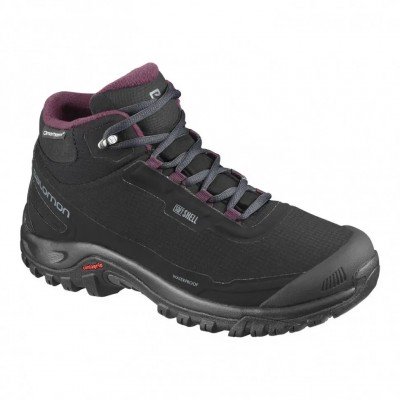 Ботинки женские Salomon Shelter CS WP W - фото 25106