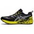 Кроссовки мужские Asics Gel-Trabuco Terra