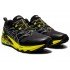 Кроссовки мужские Asics Gel-Trabuco Terra