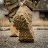 Черевики тактичні Merrell MOAB 3 Mid Tactical Waterproof Dark Coyote Черевики тактичні Merrell MOAB 3 Mid Tactical Waterproof Dark Coyote