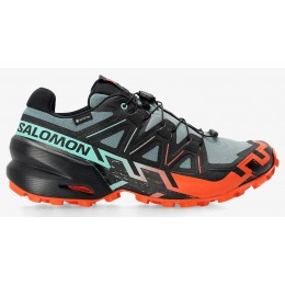 Кроссовки Salomon Speedcross 6 GTX North Atlantic/Black/Cherry Tomato