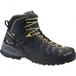 Черевики чоловічі Salewa MS ALP Trainer MID GTX