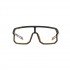 Окуляри Lynx Bismarck PH B matt black/smoke photochromic with gold revo