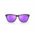 Солнцезащитные очки Oakley Frogskins Matte Black Prizm Violet