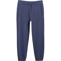 Чоловічі спортивні штани джоггери 4F M1139 denim