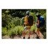 Шорты Fjallraven Abisko Midsummer
