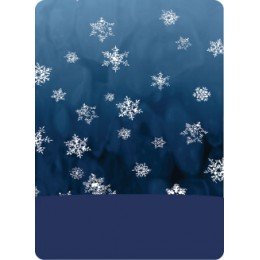 Мультифункциональная повязка 4Fun AW Polartec antarctica snow
