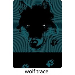 Мультифункціональна пов'язка 4Fun Polar Wolf Trace