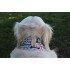 Бафф Dog Buff Woof Multi S/M