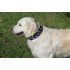 Бафф Reflective Dog r-traces Buff® M/L