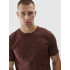 Мужская футболка 4F Tshirt M1585 dark brown