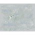 Женская футболка Turbat Steppe Flowers Wmn glacier gray
