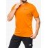 Футболка Montane Impact Compass T-Shirt flame orange Футболка Montane Impact Compass T-Shirt flame orange