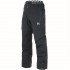 Горнолыжные брюки мужские Picture Organic Naikoon 2020 Горнолыжные брюки мужские Picture Organic Naikoon 2020