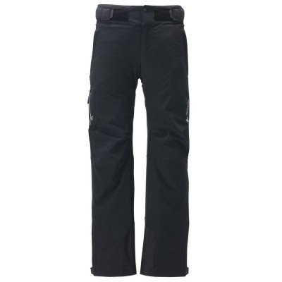 Брюки горнолыжные мужские Goldwin G-Bliss Pants - фото 19116
