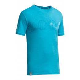 Футболка Icebreaker Tech T Lite SS Men
