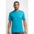 Футболка Icebreaker Tech T Lite SS Men