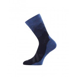 Термошкарпетки Lasting FWR 595