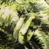 Кофта флисовая мужская Alpine Pro Eflin MSWF334 green