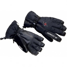 Перчатки мужские Blizzard Performance ski gloves