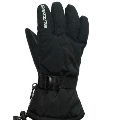 Перчатки мужские Blizzard Fashion Ski Gloves - фото 5737