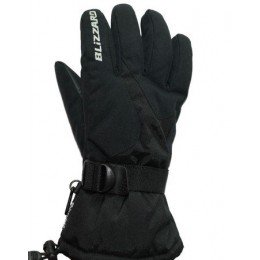 Перчатки мужские Blizzard Fashion Ski Gloves Перчатки мужские Blizzard Fashion Ski Gloves