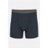 Термотруси чоловічі Rab Syncrino Boxers Beluga